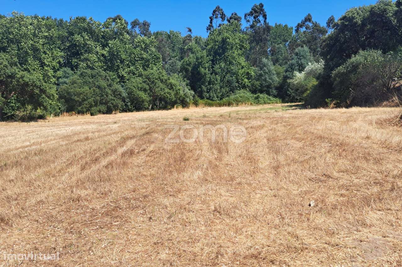 Prédios rústicos com viabilidade de construção - Grande imagem: 2/29