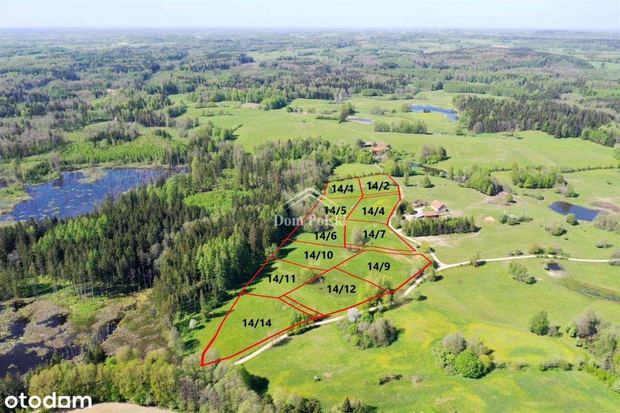 Działki budowlane 3000 m2 - Wzgórza Szeskie - Pełny obrazek: 4/17