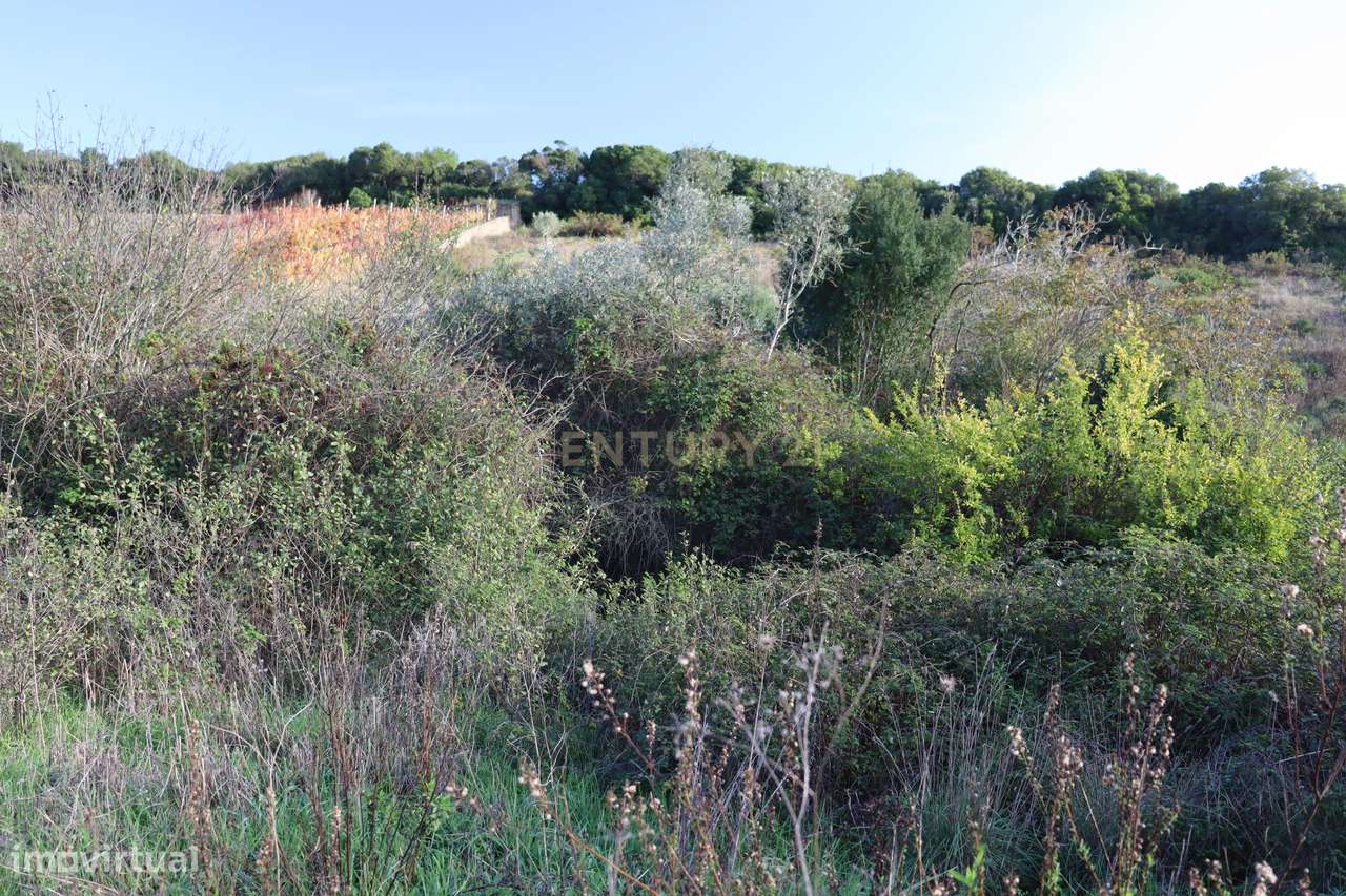 Terreno urbano com casa em ruína na Bemposta, Bucelas-17