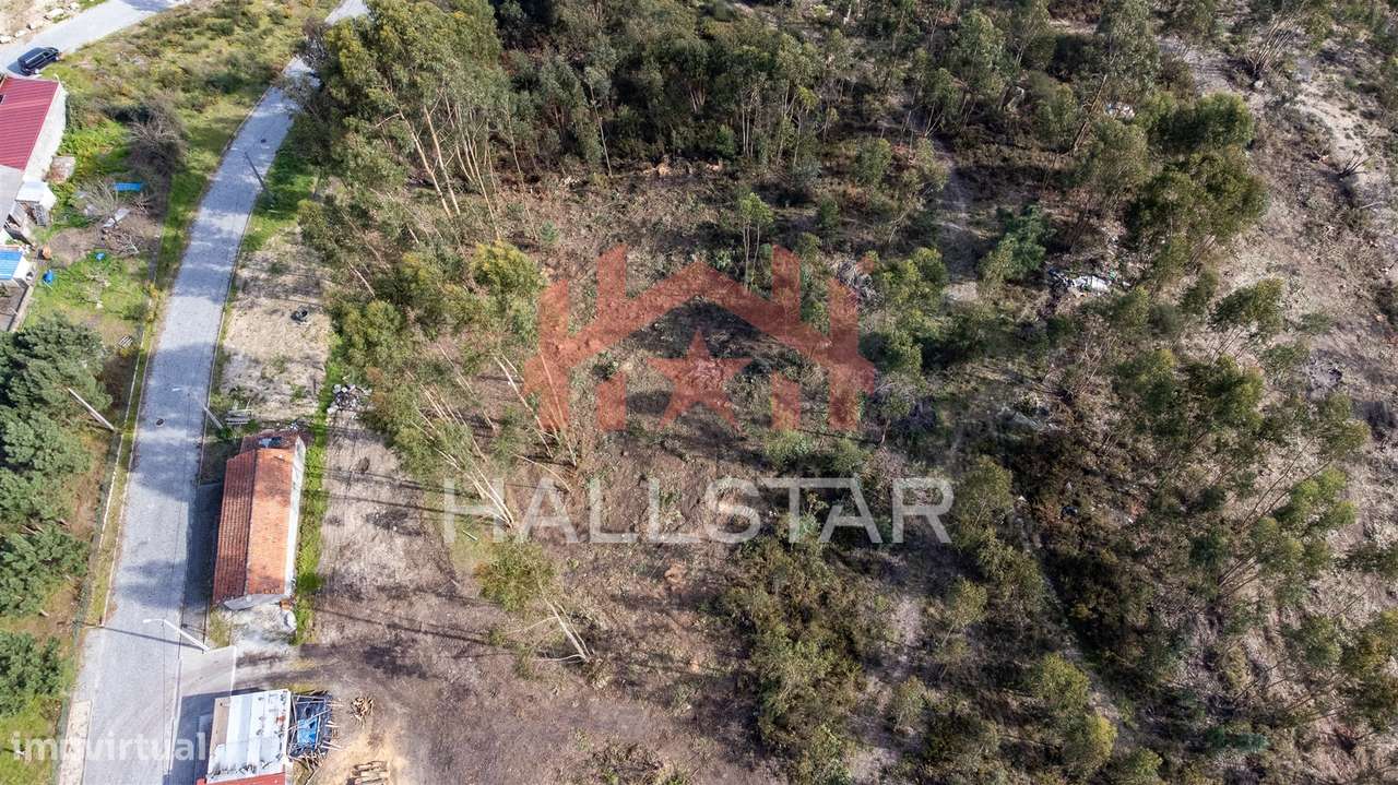 Terreno Florestal / Área Total 2.500m2 / Penafiel - Grande imagem: 5/6