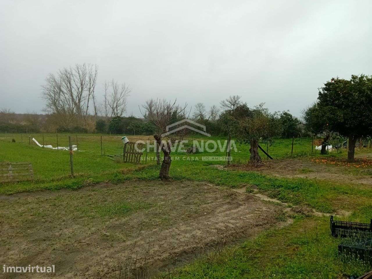 Uma verdadeira oportunidade, uma casa com 1,5 hectares de terreno.-14