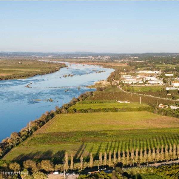 Terreno Urbano à Venda na Chamusca – 350m² em Zona Tranquila - Grande imagem: 5/10