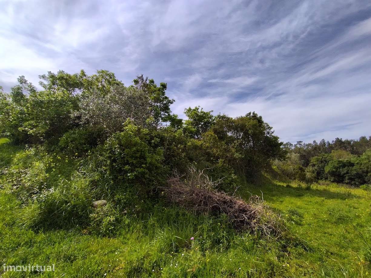 Terreno  Venda em Maiorca,Figueira da Foz - Grande imagem: 5/9