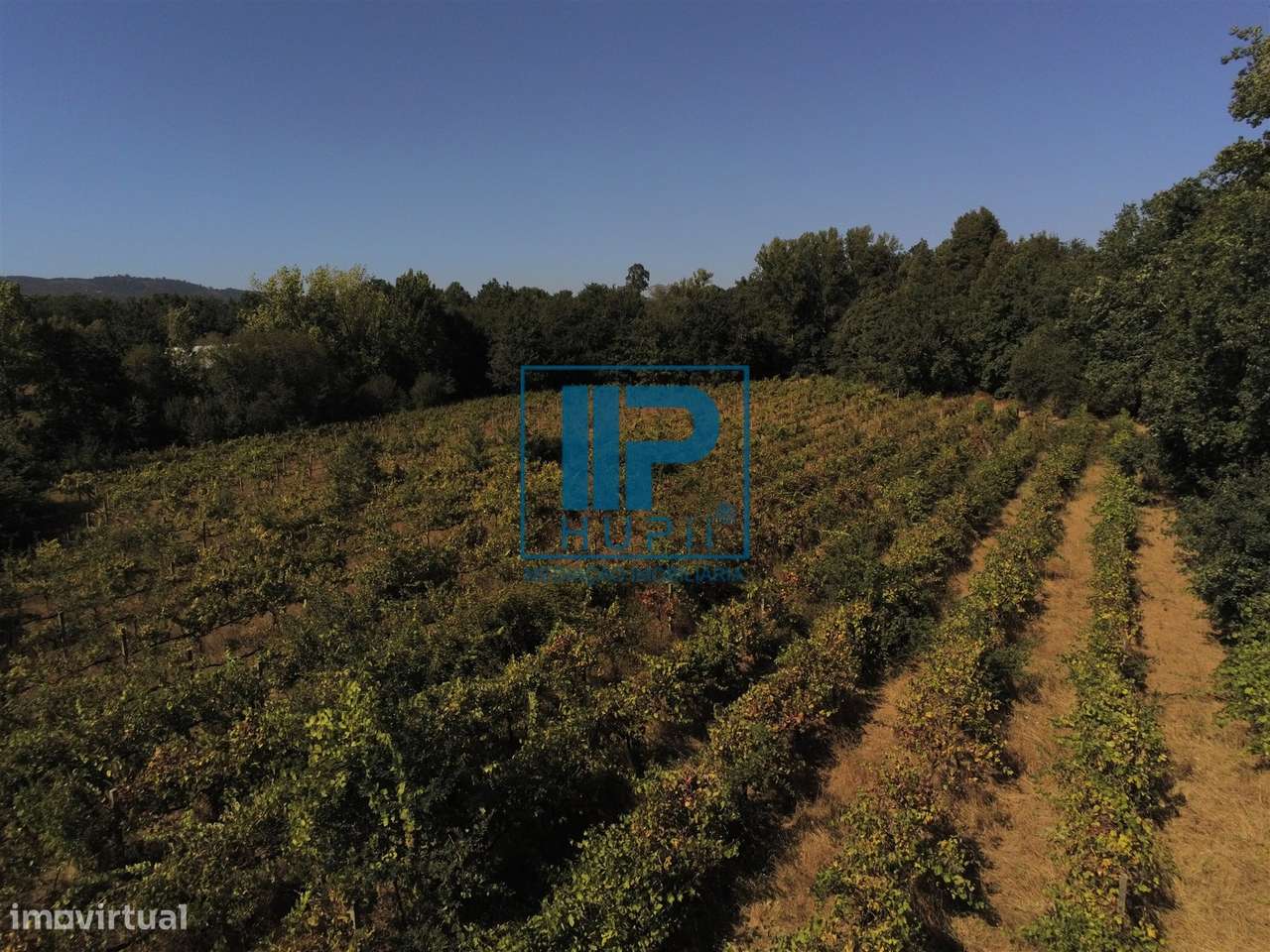 Quinta T5+2 Venda em Vila Boa do Bispo,Marco de Canaveses-5
