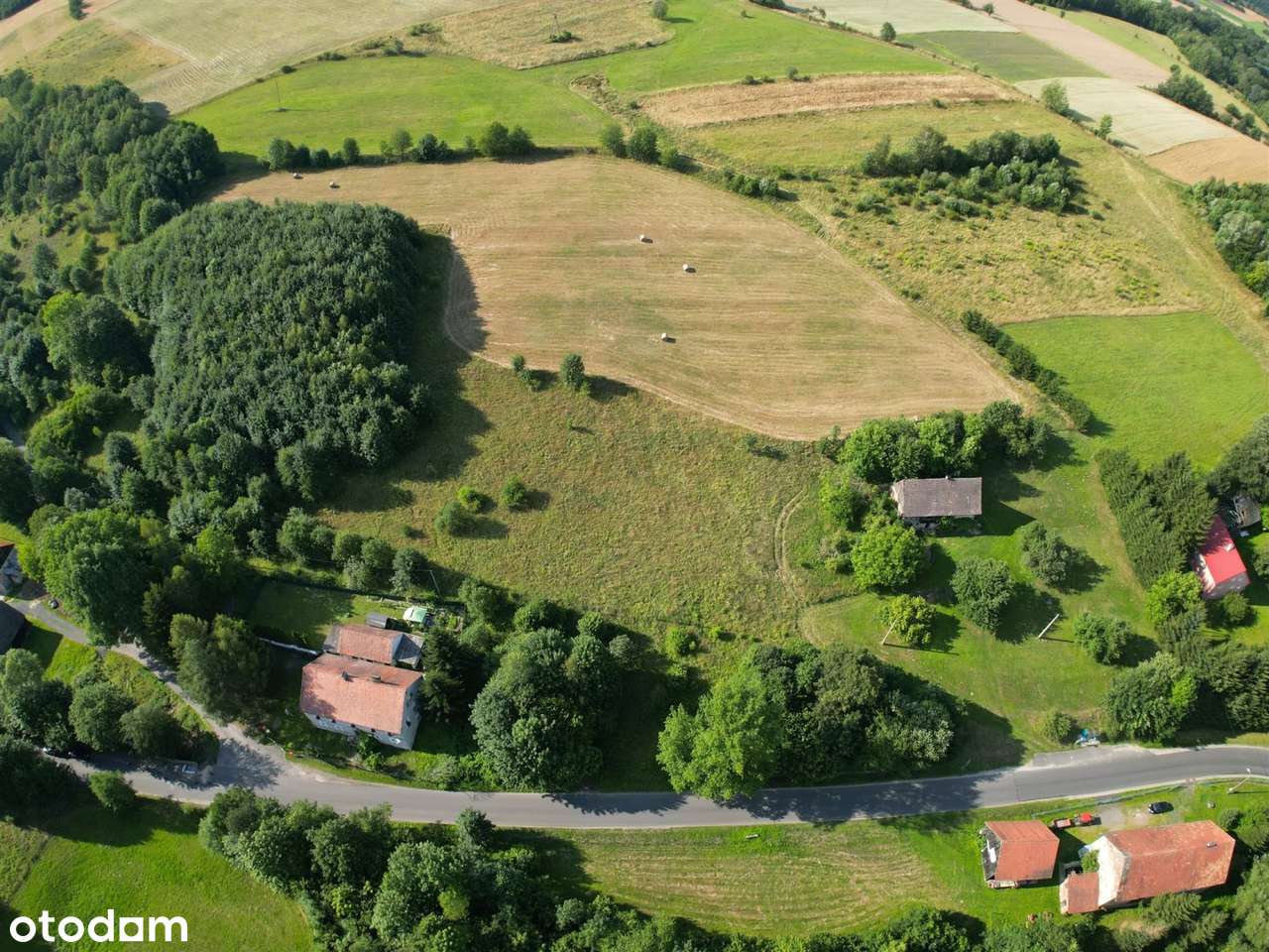 Wyjątkowa działka 1800m² w Pławnej Górnej  - Pełny obrazek: 5/9