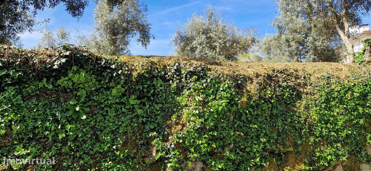 Terreno para moradia em Sarzedelo, Viseu - Grande imagem: 3/6