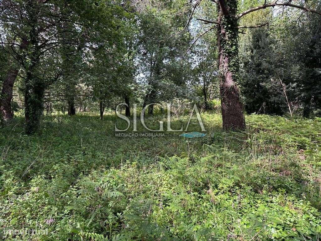 Terreno para construção de moradia - Grande imagem: 1/9