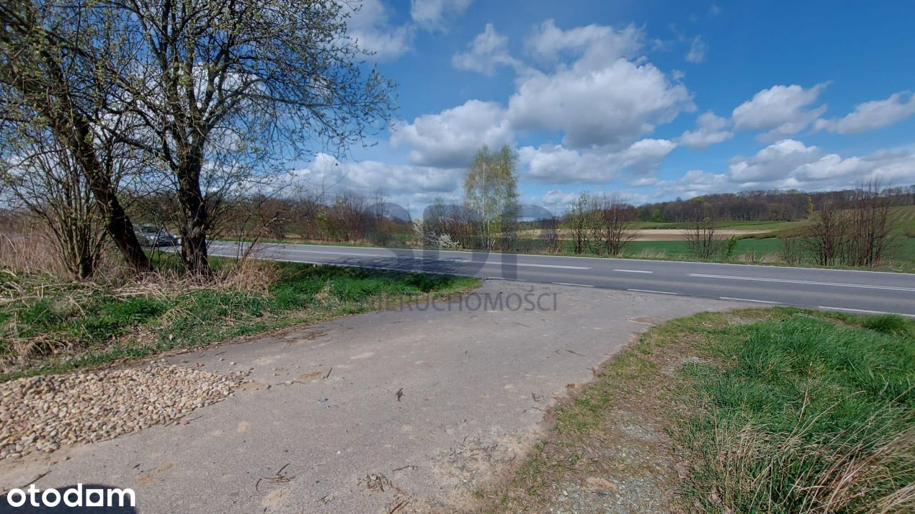 Działka zagrodowa, gm. Oborniki Śląskie.