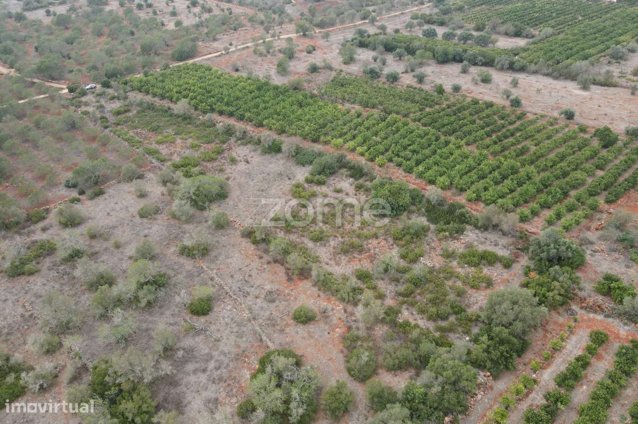 Terreno Rústico em Messines, em Carrascal com 6.080m2 - Grande imagem: 4/15