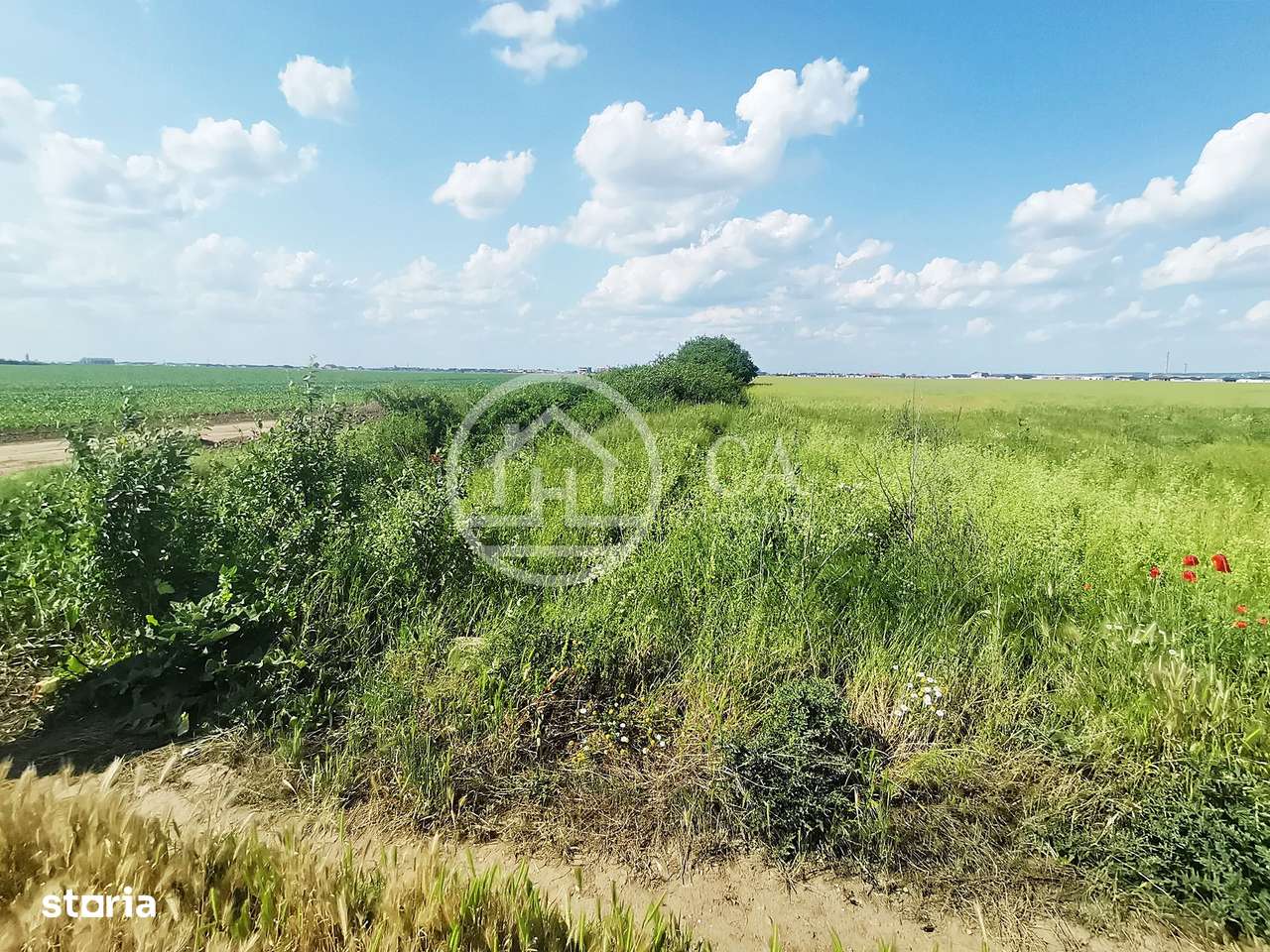 Teren intravilan de vânzare in Santandrei, Bihor - Imagine principală: 1/3