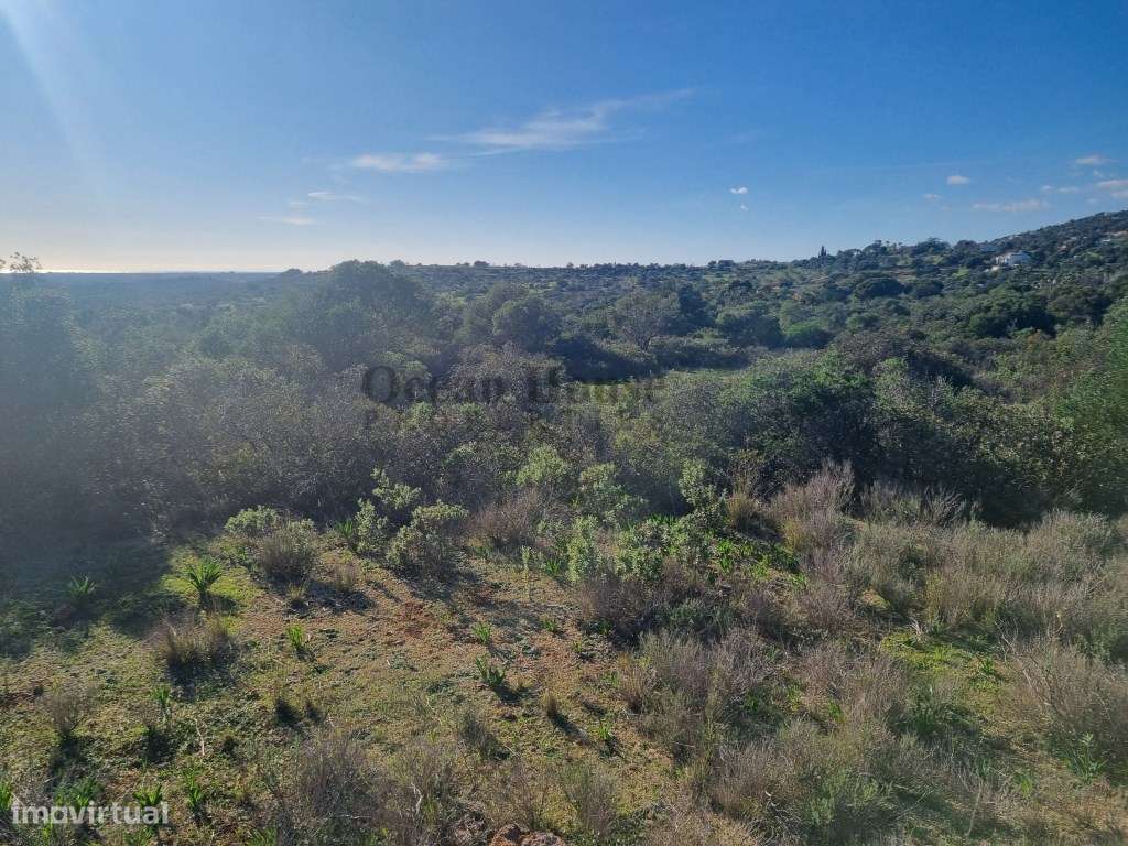 Terreno rústico, plano com 4200m2, em Santa Bárbara de Nexe, Faro - Grande imagem: 4/9