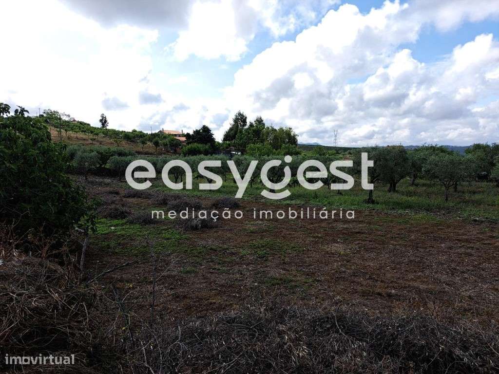 Terreno para construção na aldeia de Sequeiros, Torre de Moncorvo - Grande imagem: 2/20
