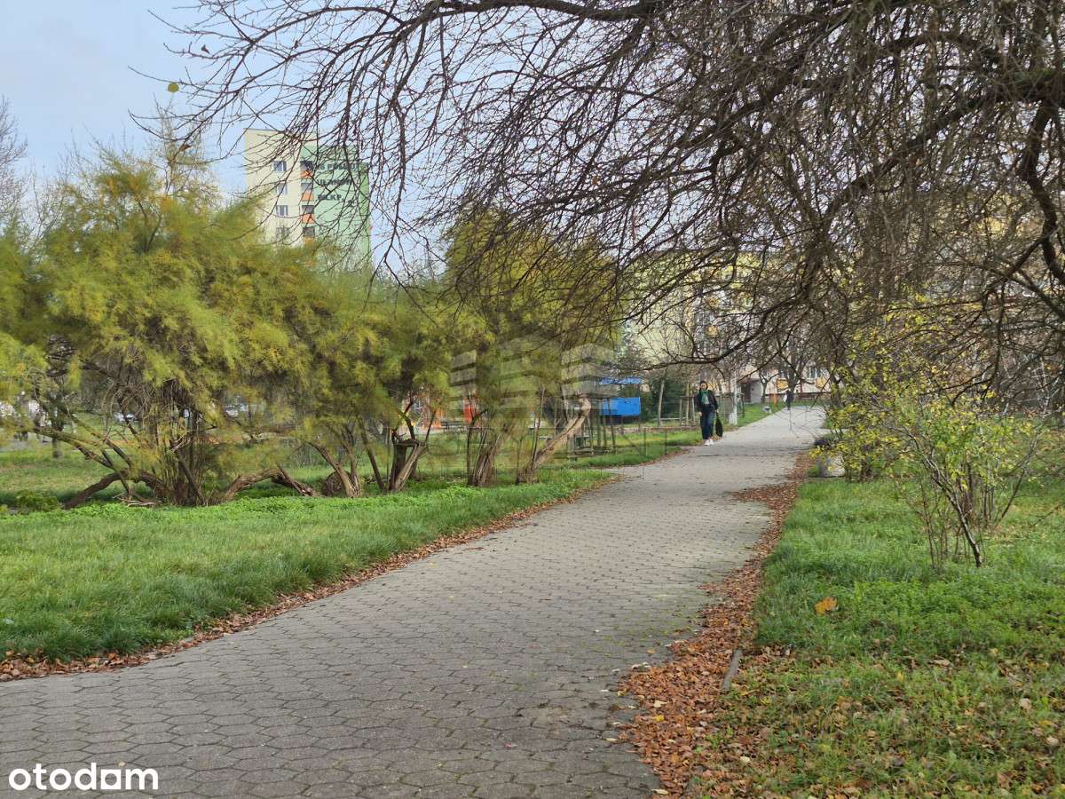 Mieszkanie z widokiem na park na os. Błonie - Pełny obrazek: 5/13
