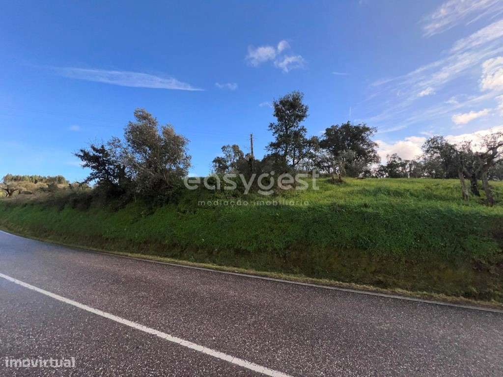 Terreno Rústico com 2930m2 localizado em Alviobeira Tomar - Grande imagem: 2/19