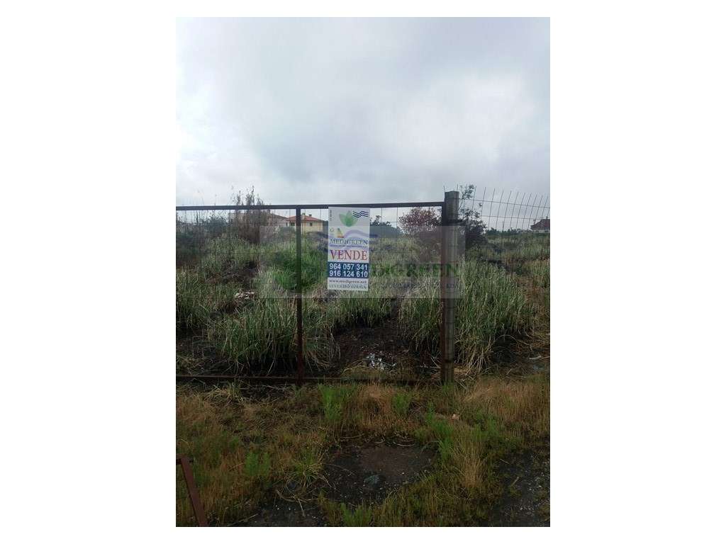 TERRENO NA BRANCA - Grande imagem: 2/7