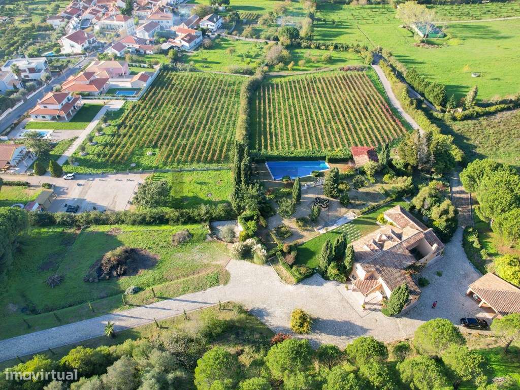 Quinta Com Piscina E Vinha Para Venda Em Azeitao Arrabida