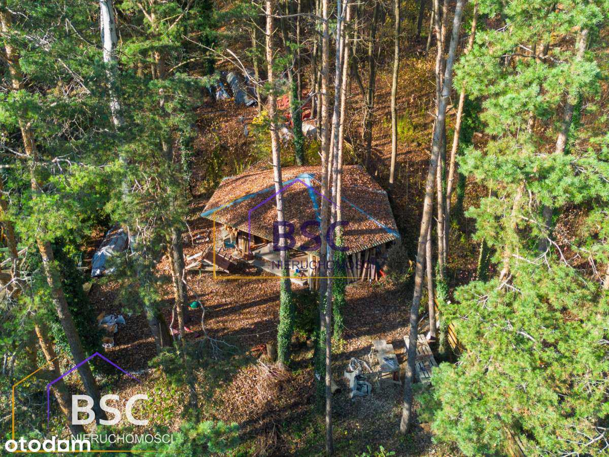 Bajkowy widok na jezioro w 1 linii brzegowej-5