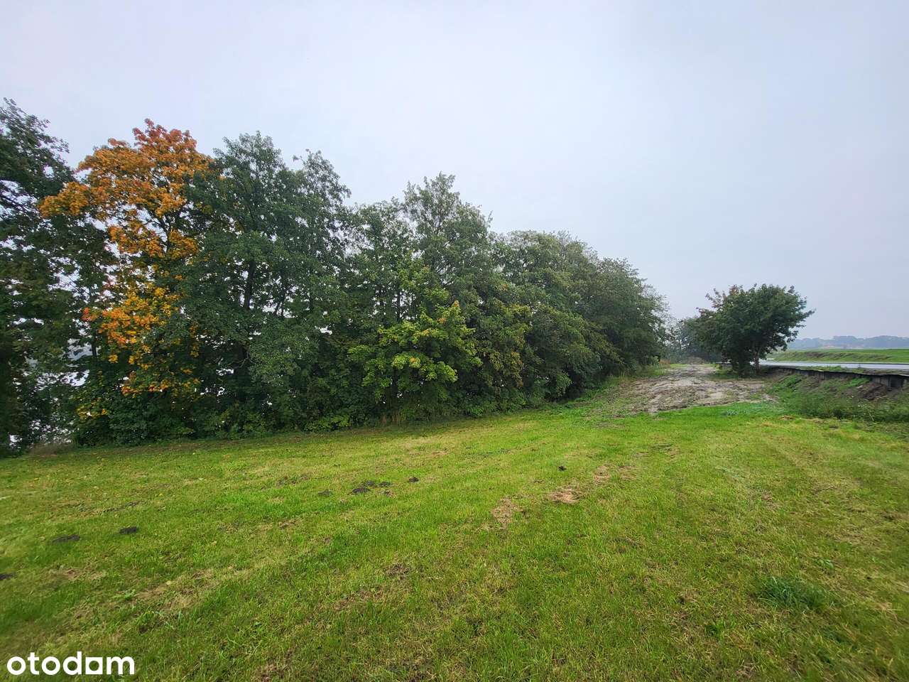 działka z linią brzegowa Gruta-5