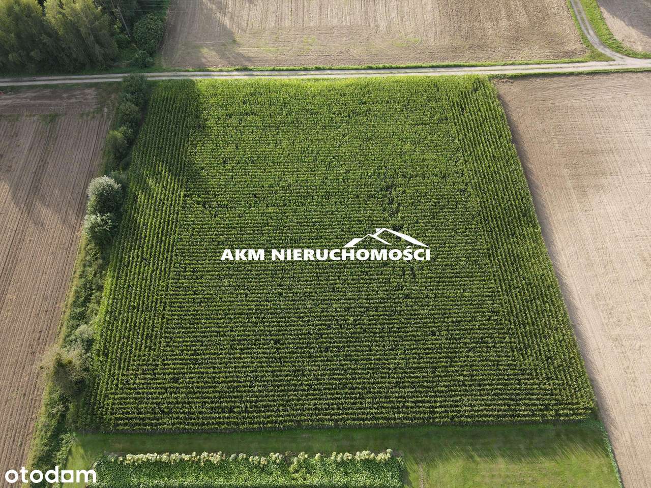 Działka w spokojnej okolicy - Pełny obrazek: 4/4