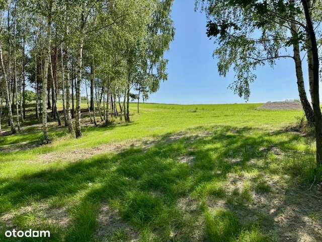 OSADA nad jeziorem (media, las, staw, mpzp) - Pełny obrazek: 4/20