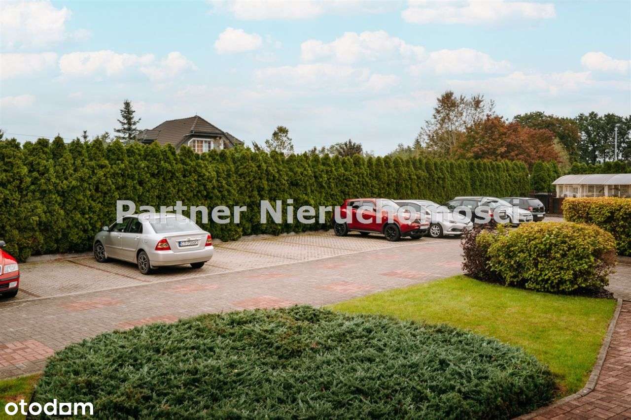 Dwa rozkładowe pokoje i odzielna kuchnia, polecam!-6