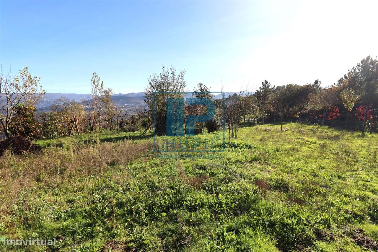 Quinta T3+1 Venda em Penhalonga e Paços de Gaiolo,Marco de Canaveses-20