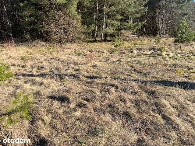 Na sprzedaż wyjątkowa działka nad jeziorem Komorze - Pełny obrazek: 4/12