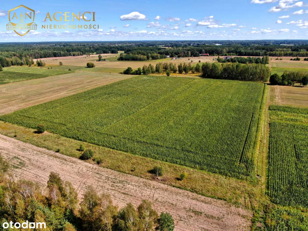 * Warunki zabudowy * 9 działek * Skrybicze* - Pełny obrazek: 4/5