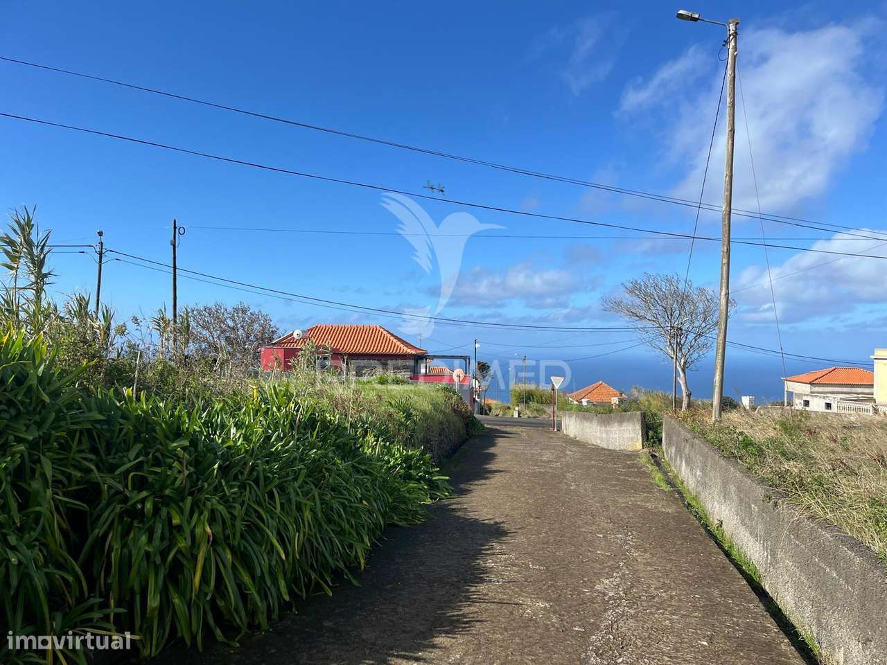 MORADIA + UM PALHEIRO PARA RECONSTRUÇÃO NA PONTA DO PARGO COM 670M2... - Grande imagem: 3/8