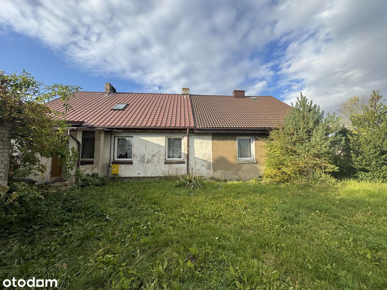 MIESZANIE BEZCZYNSZOWE W WĘGORZYNIE - Pełny obrazek: 5/16