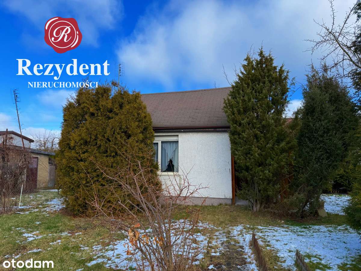 Rod w Bydgoszczy-od zaraz-8