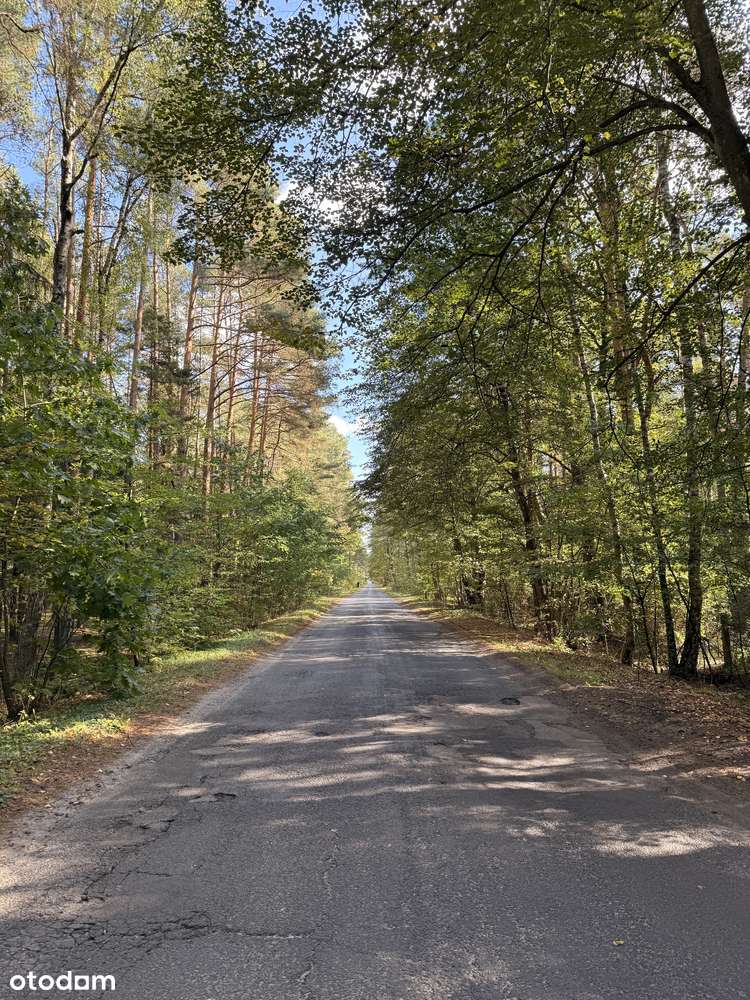urokliwa działka na sprzedaż, Zawodne gmina Prażmów-3