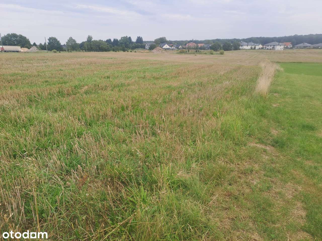 mścice działka na wzgórzu - Pełny obrazek: 4/4