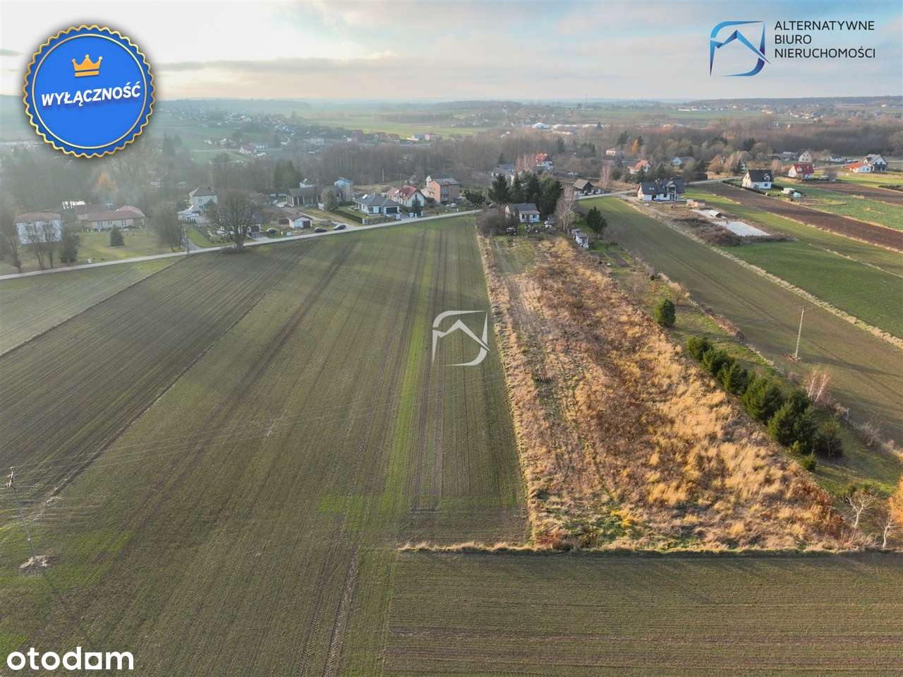 Działka budowlano-rolna 174 tys Jabłonna - Pełny obrazek: 4/12