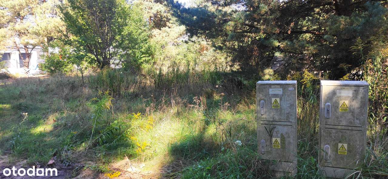 Piękna działka budowlana wszystkie media w otulinie lasu, 2km od Leszn - Pełny obrazek: 4/13