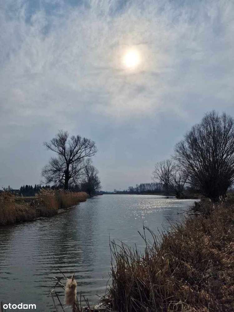 Działka rolna 5400m2 / Dziecinów/ Góra Kalwaria - Pełny obrazek: 4/5