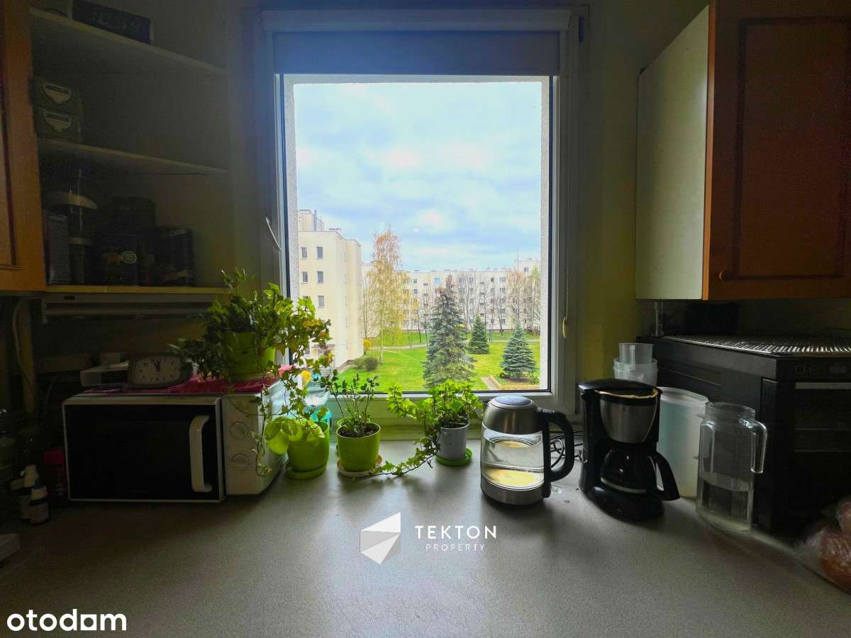 Przestronne 2 pokojowe mieszkanie w cichej okolicy - Pełny obrazek: 5/9