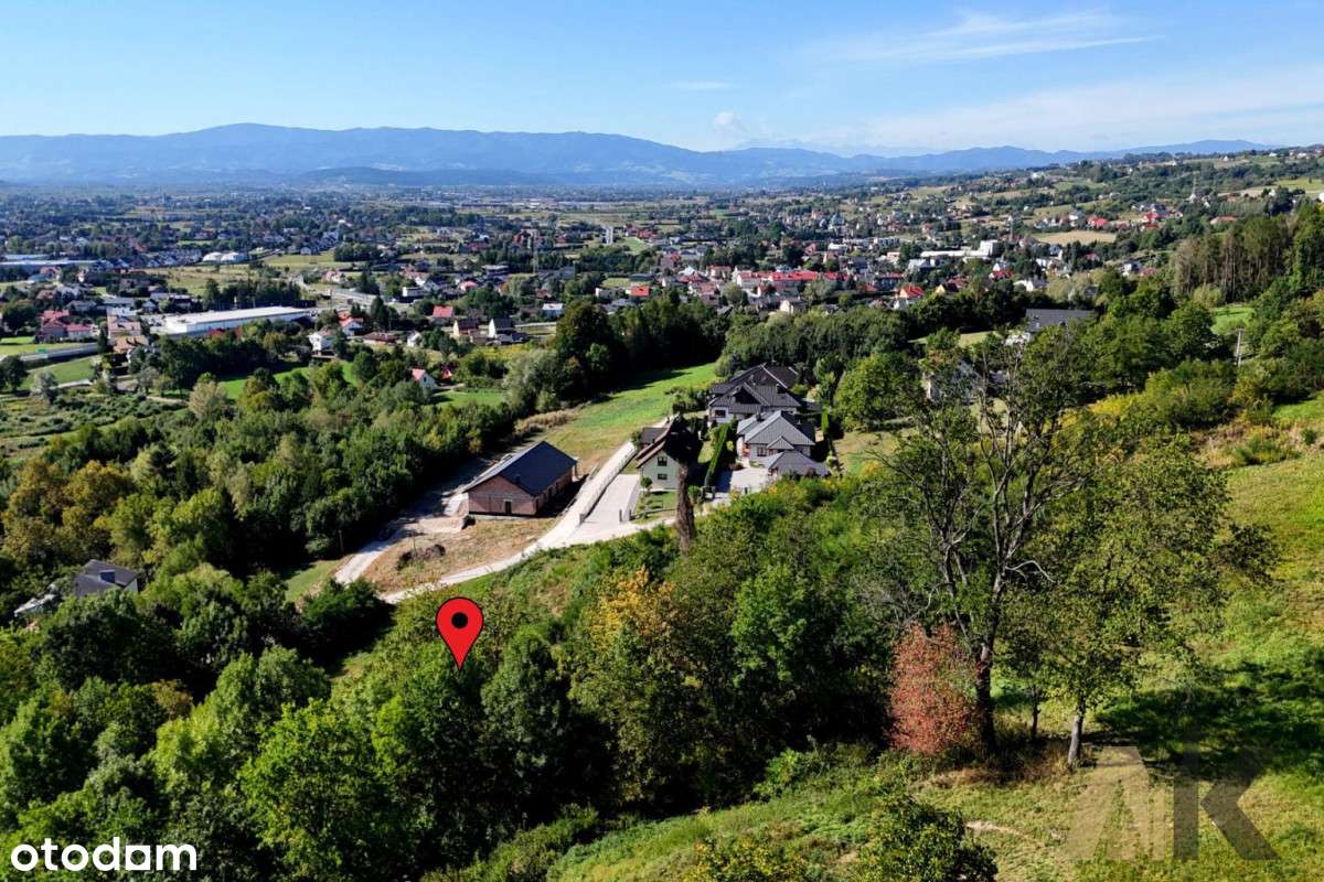 Działka rolna 88,47 arów- Chełmiec - Pełny obrazek: 4/20