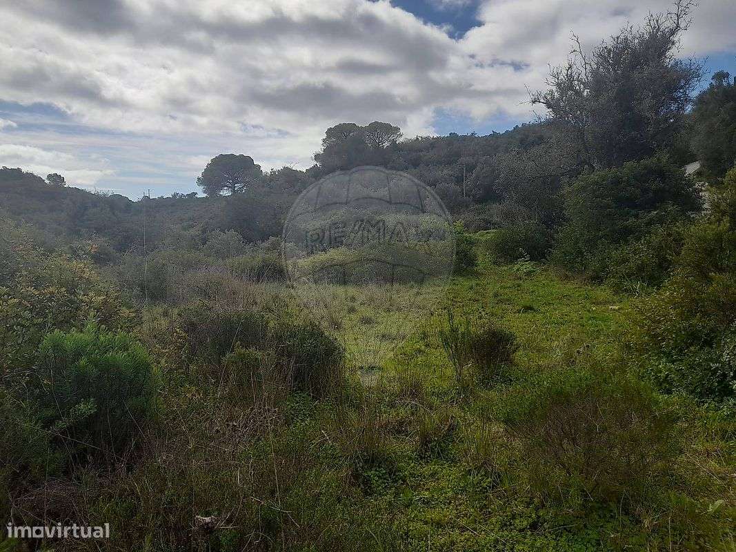 Terreno  para venda - Grande imagem: 3/12