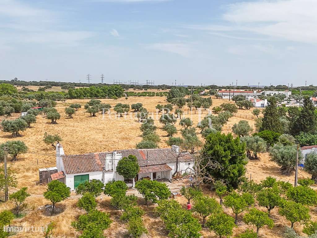Encantadora quintinha alentejana - Grande imagem: 3/21