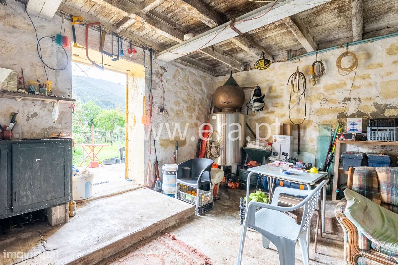 Onde a Visão Encontra a Natureza-24