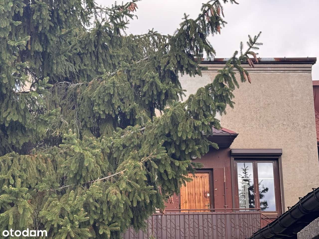 POŁOWA DOMU NA RYNKU W SOKOŁOWIE PODLASKIM - Pełny obrazek: 4/5