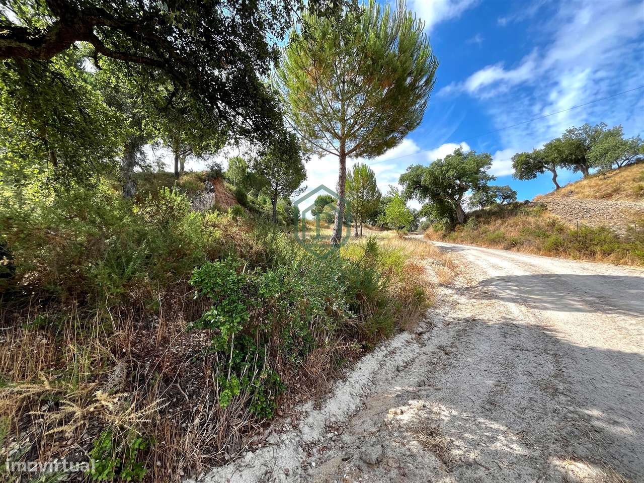 Quinta >=T10 Venda em Cortiçadas de Lavre e Lavre,Montemor-o-Novo-15