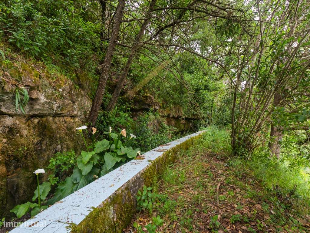 Quinta de 1 ha com moradia de 260 m2-34