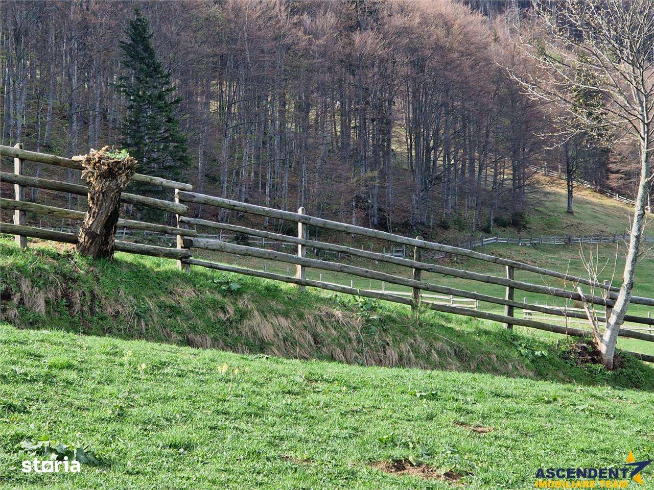 7.000 mp, pozitie spectaculoasa, fara vecini, Fundatica, Brasov - Imagine principală: 2/20