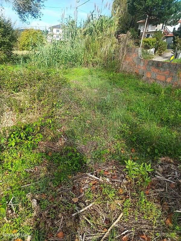 Terreno  para venda - Grande imagem: 5/6