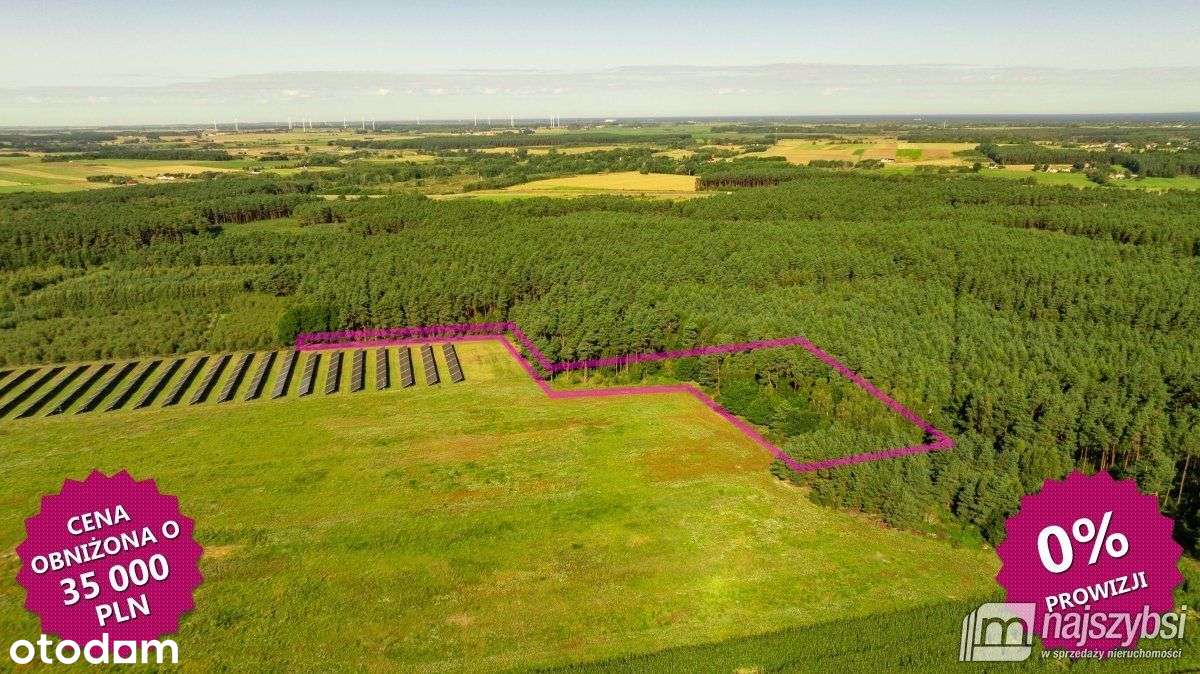 Charzyno- Działka Na Sprzedaż - Pełny obrazek: 1/10