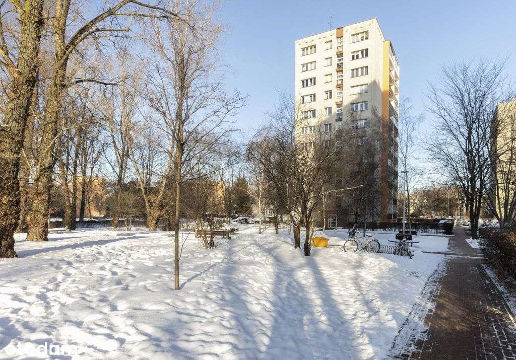 Ciche, jasne mieszkanie do remontu-11