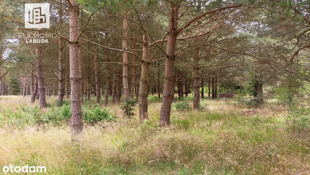 Działka budowlana na morzem Machowinko k/Ustki - Pełny obrazek: 3/9