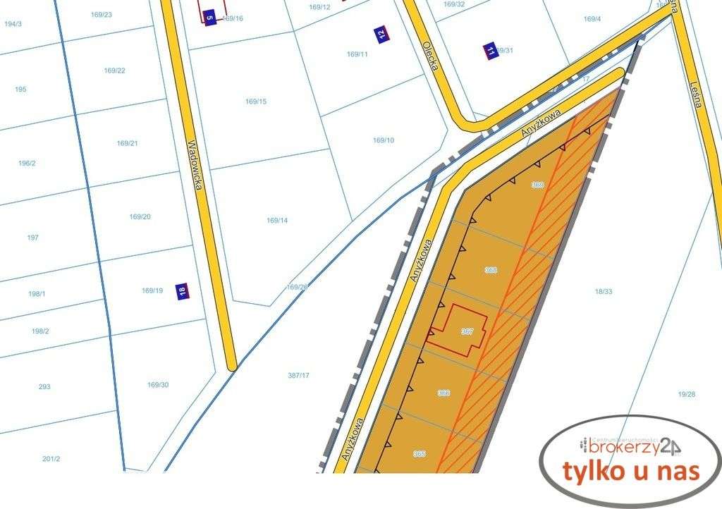 Działka budowlana Gołuski [wolnostojący/2lokalowy]-2